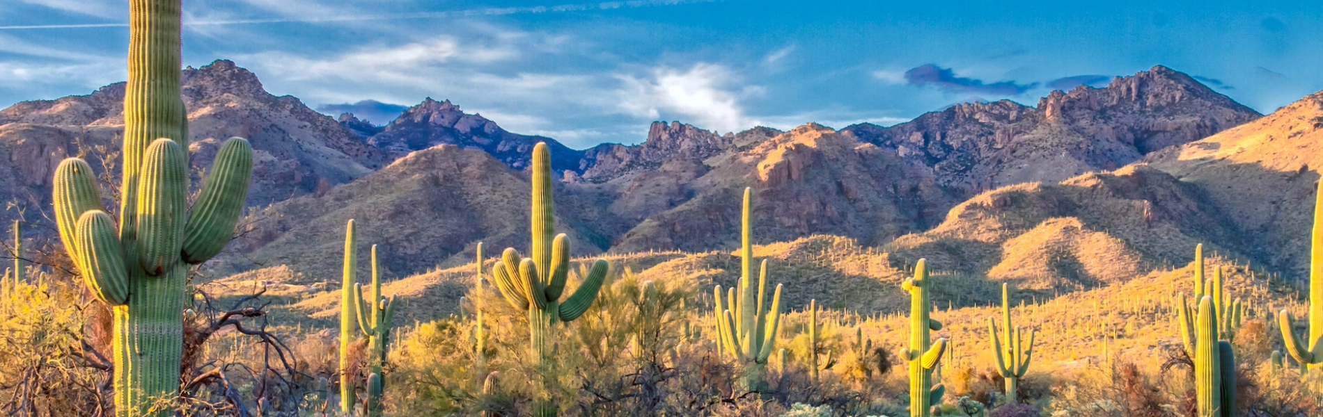 Catalina Foothills, AZ