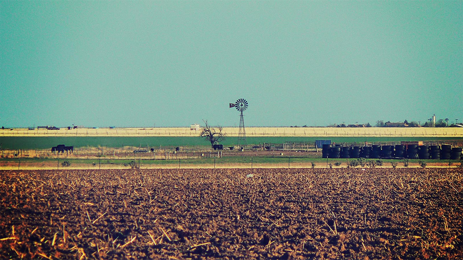 Amarillo, TX