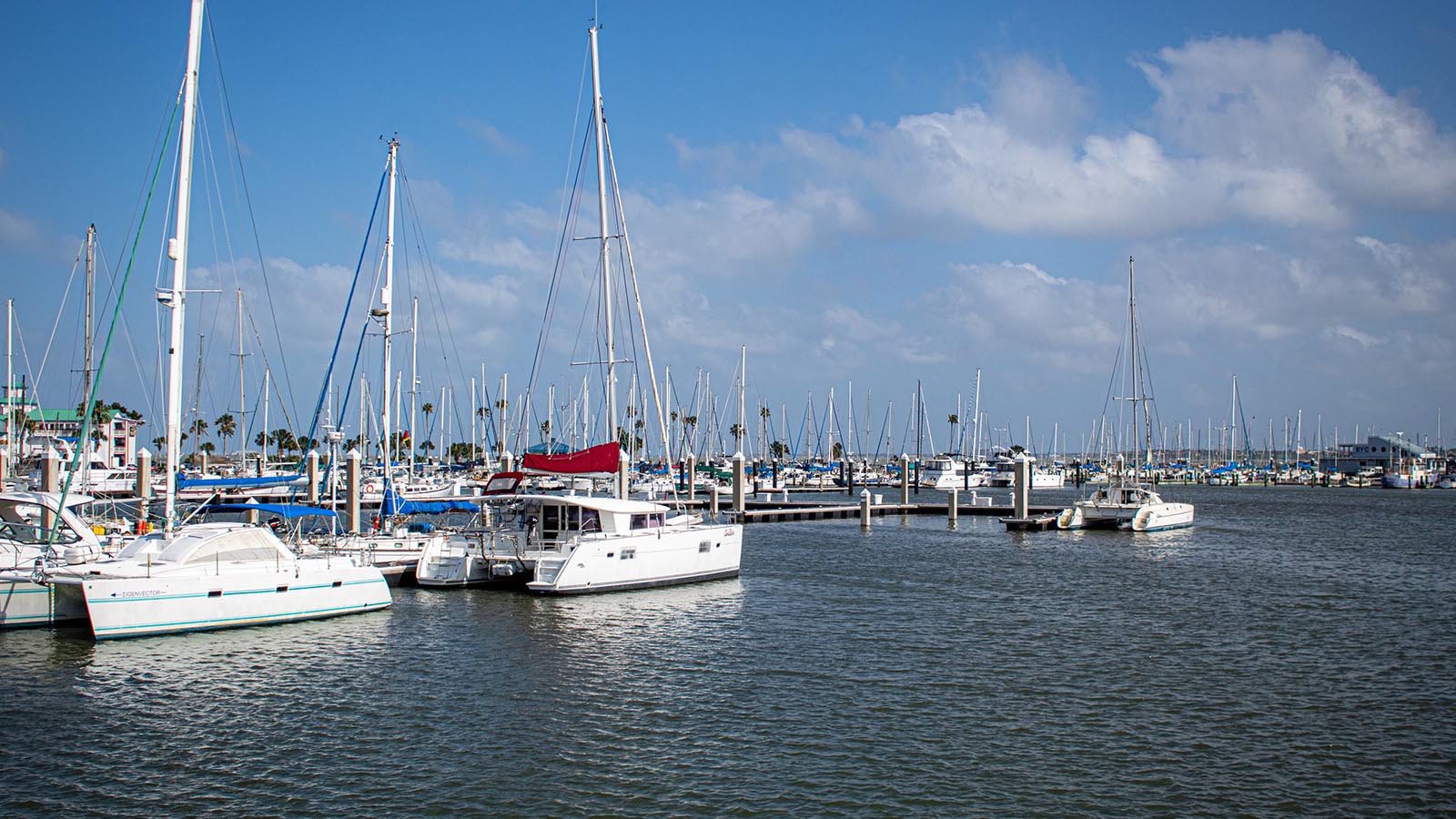 Corpus Christi, TX